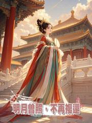 明月曾照,不再複還